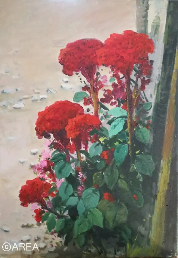 맨드라미