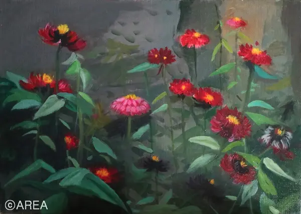 들꽃