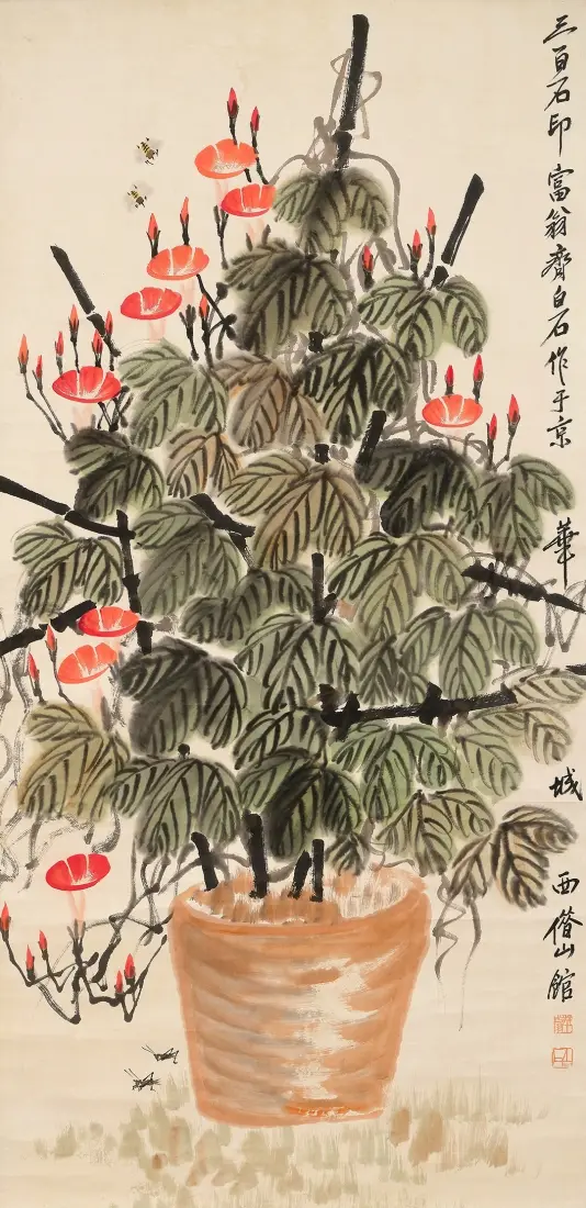 나팔꽃 화분