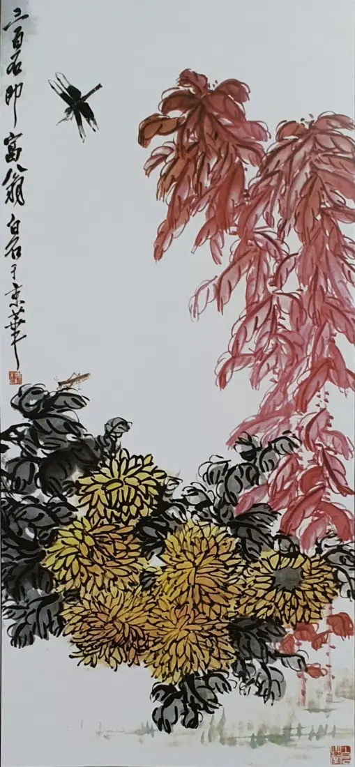 국화