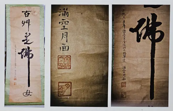 백초지불모
